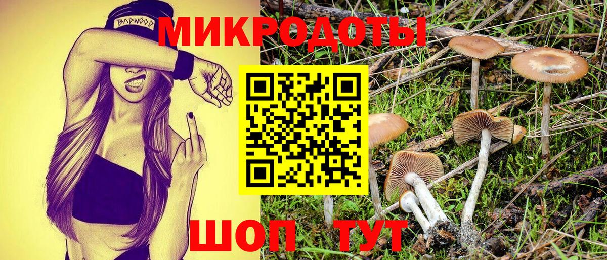 Галлюциногенные грибы мицелий Таганрог